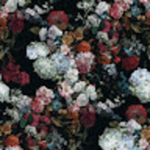 Meet your Posher, Kai